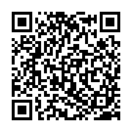 QR code for ZXK383