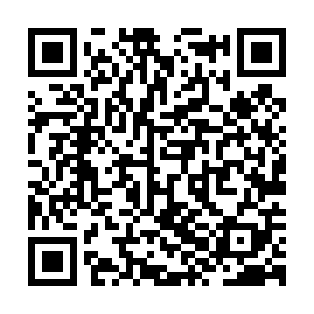 QR code for ZXL409