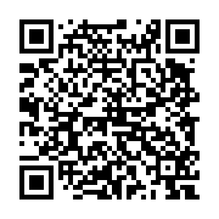 QR code for ZXL416