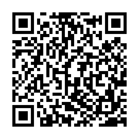 QR code for ZXL436