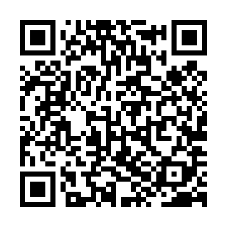 QR code for ZXL489