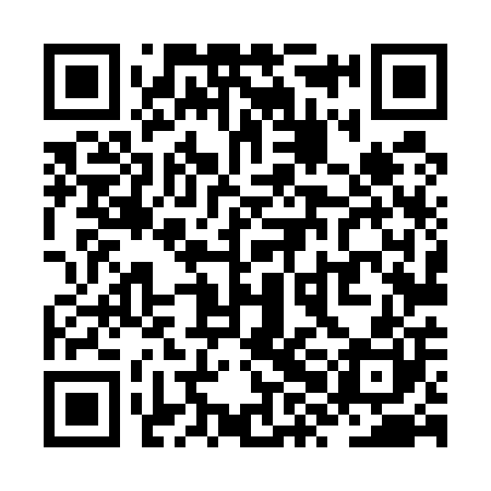 QR code for ZXL500