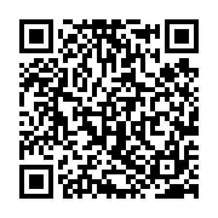 QR code for ZXL617