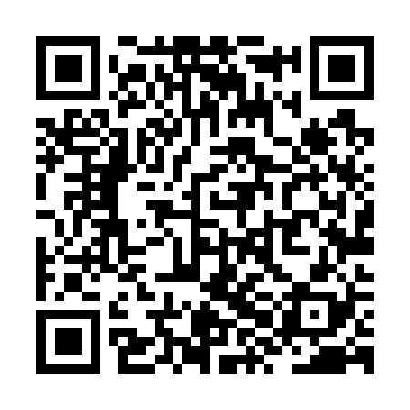 QR code for ZXL728