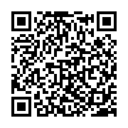 QR code for ZXM111