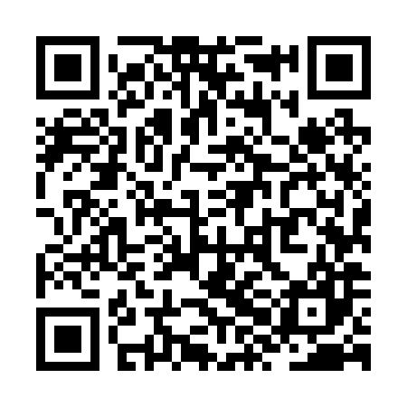 QR code for ZXM287
