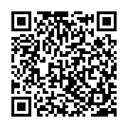 QR code for ZXM394