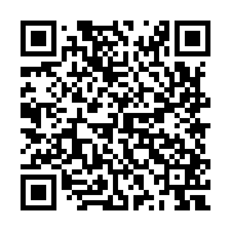 QR code for ZXM941
