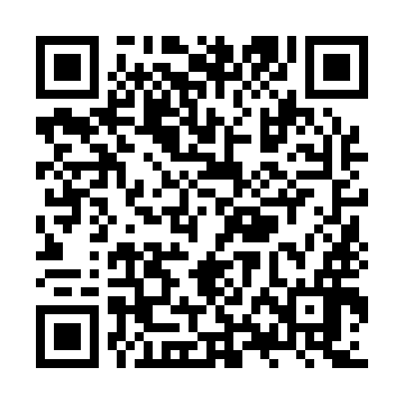 QR code for ZXN196