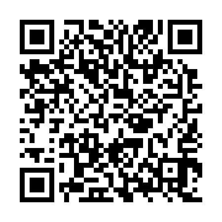 QR code for ZXN313
