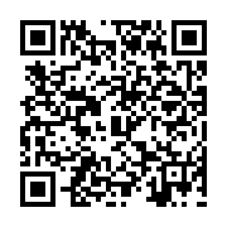 QR code for ZXN375