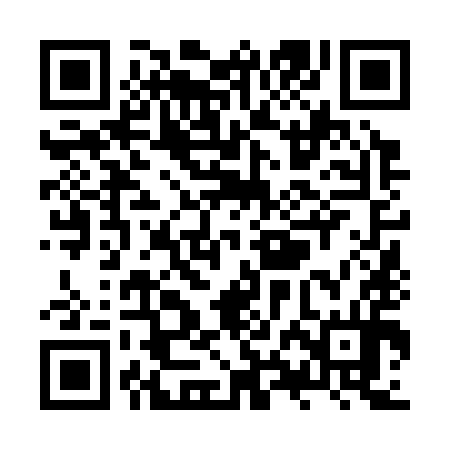 QR code for ZXN394
