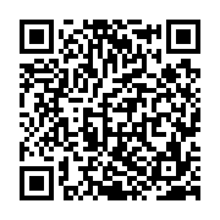 QR code for ZXN736