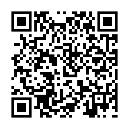QR code for ZXN935