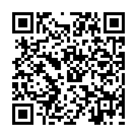 QR code for ZXN979
