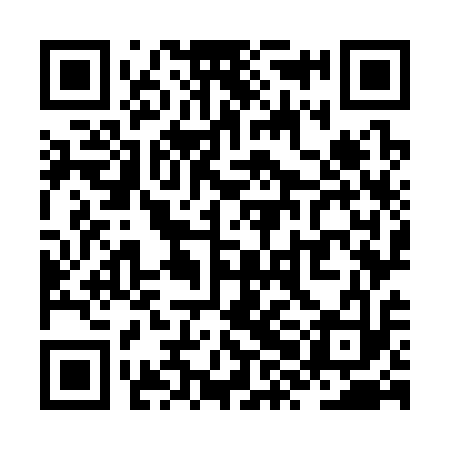 QR code for ZXO313