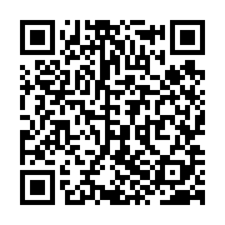 QR code for ZXO689