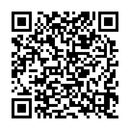 QR code for ZXP313