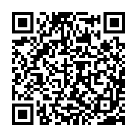 QR code for ZXP393
