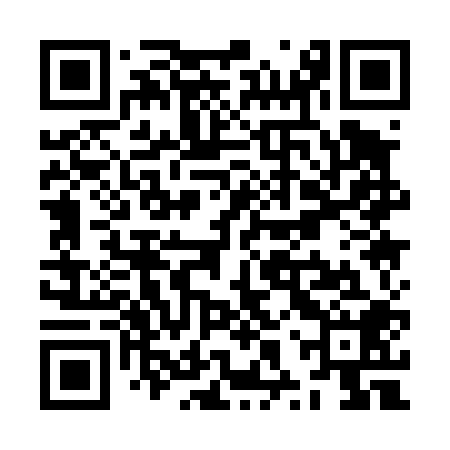 QR code for ZXQ408