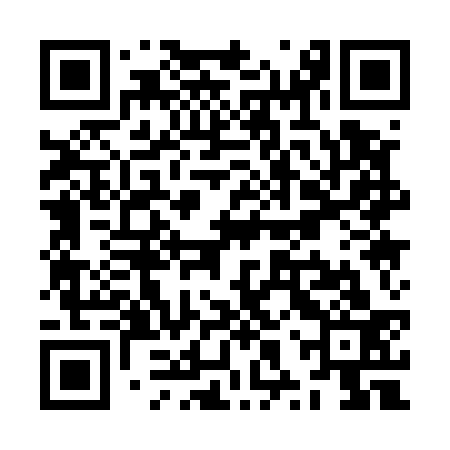 QR code for ZXQ533