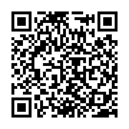 QR code for ZXQ739