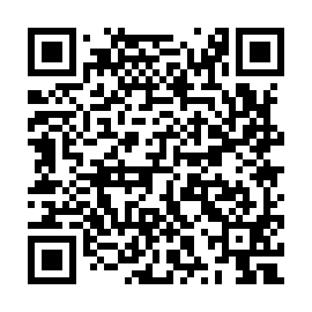 QR code for ZXQ991