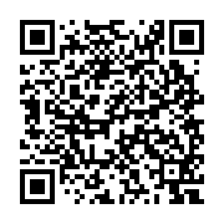 QR code for ZXR392