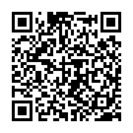 QR code for ZXR711