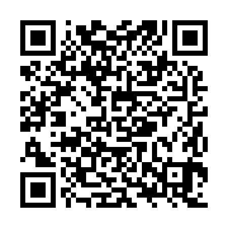 QR code for ZXR981
