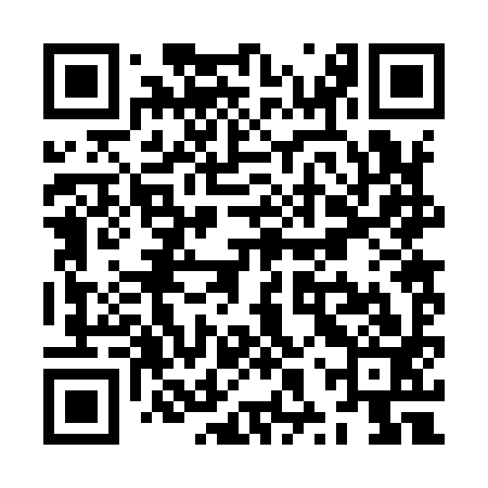 QR code for ZXR993