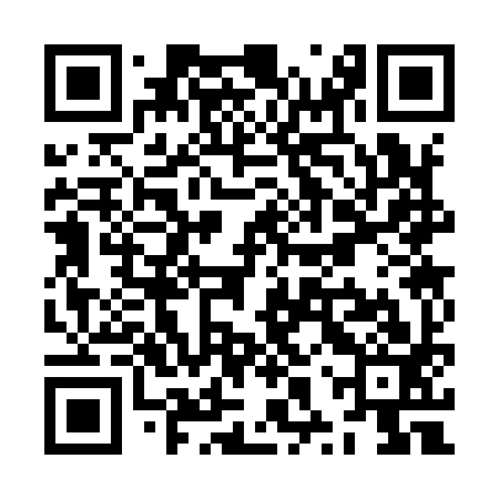 QR code for ZXS993