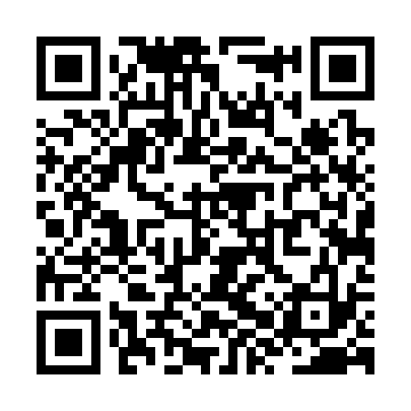 QR code for ZXT333