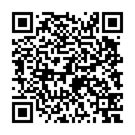 QR code for ZXT439