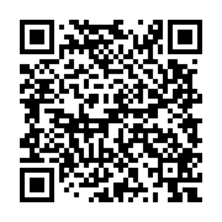 QR code for ZXT509