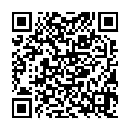 QR code for ZXU234