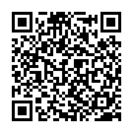 QR code for ZXU275