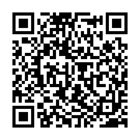QR code for ZXU393