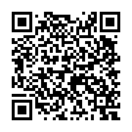 QR code for ZXU417