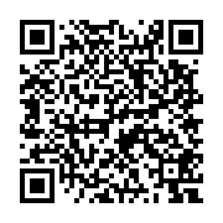 QR code for ZXU508