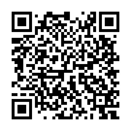 QR code for ZXU513