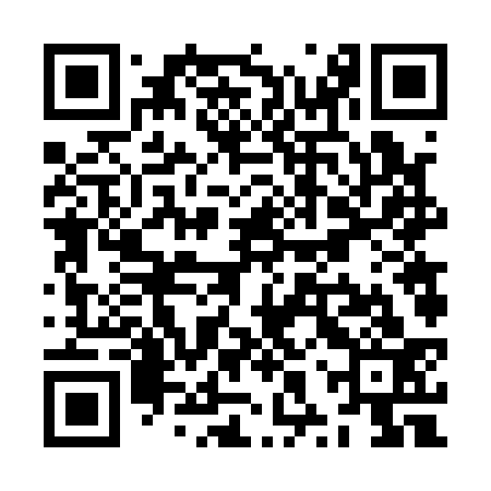 QR code for ZXV133