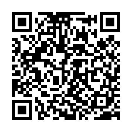 QR code for ZXV441