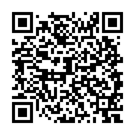 QR code for ZXV790