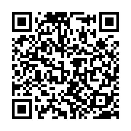 QR code for ZXV979