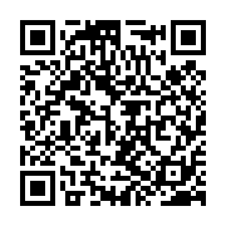 QR code for ZXW411