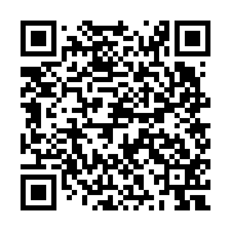 QR code for ZXW613