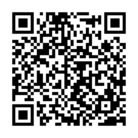 QR code for ZXX126