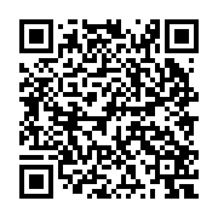 QR code for ZXX206