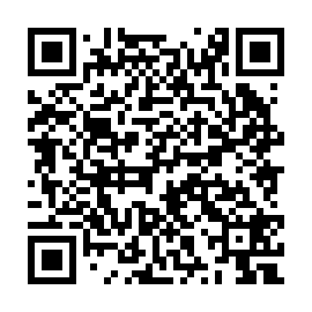 QR code for ZXX228